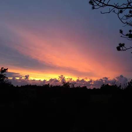 6 Person In Hurup Thy Sønder Ydby